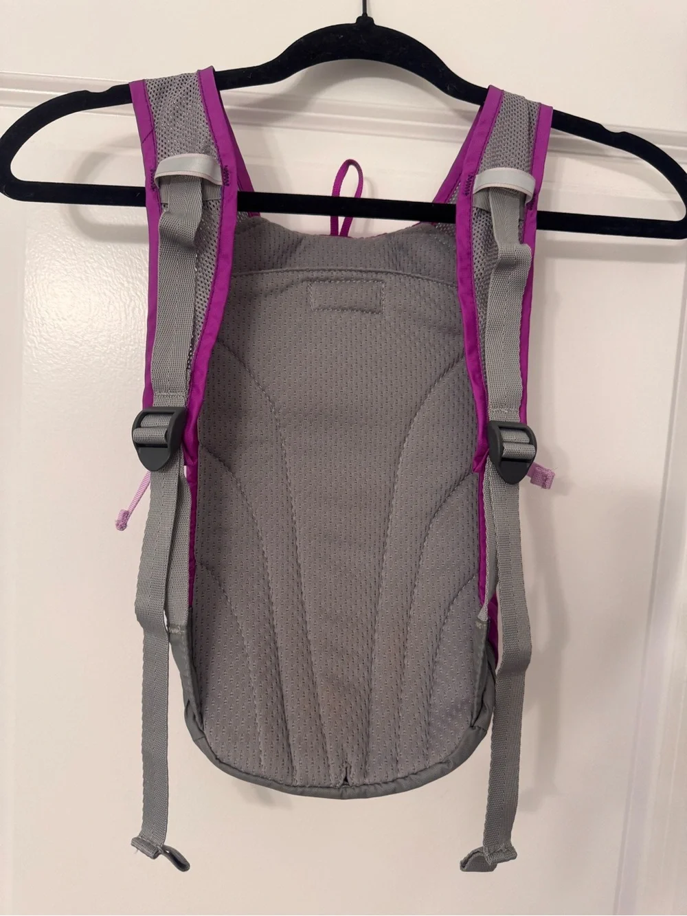 CamelBak Mini-M.U.L.E. Hydration Pack in Purple Cactus Flower/Sheer Lilac